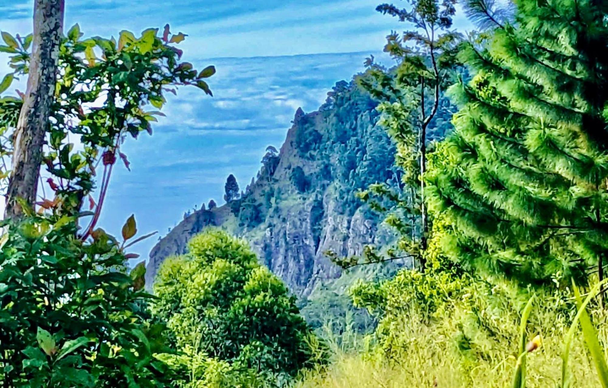 Bed and Breakfast Mountain Peak Элла Экстерьер фото